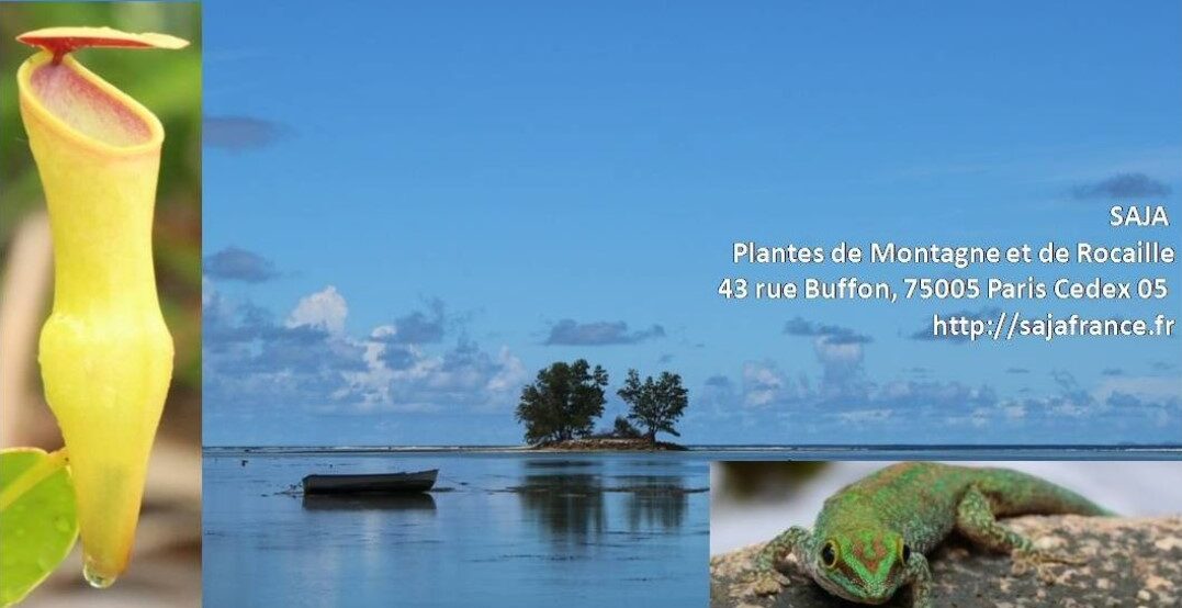 CONFERENCE SAJA 5 rue Paul Dukas Paris 12ème : Les Seychelles, paradis de la biodiversité, notre conférence du mois de novembre par Stéphane Rémy