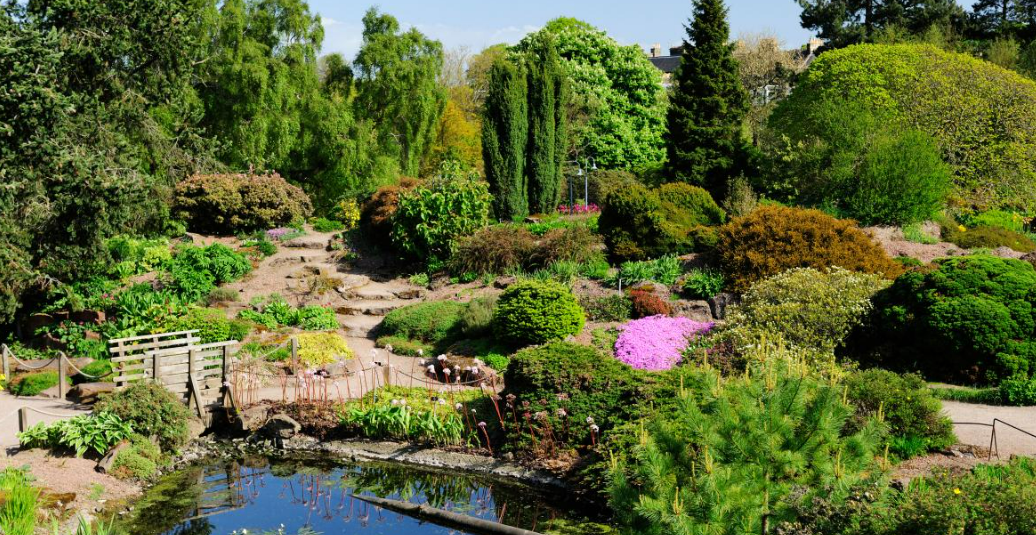 Le Le prochain séjour 2024 prévu en Ecosse pour les visites de jardins est annulé faute de participants.